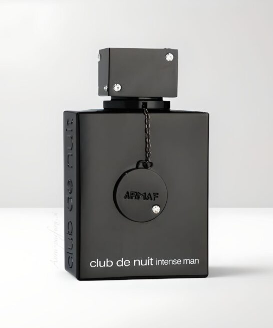 Club de Nuit Intense Man