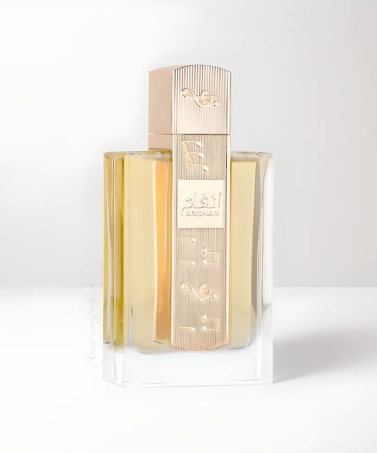 Angham Edp
